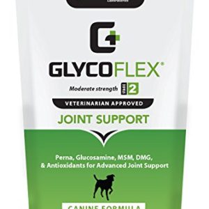 VetriScience Laboratories GlycoFlex 2 Bite-Sized Dog Chews