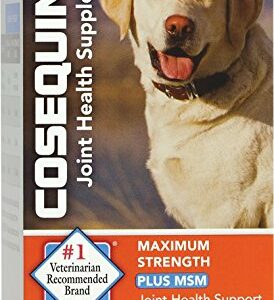 Nutramax  Cosequin DS Chewables Plus MSM 60ct