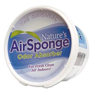 Nature's Air Sponge Odor Absorber 1 Lb